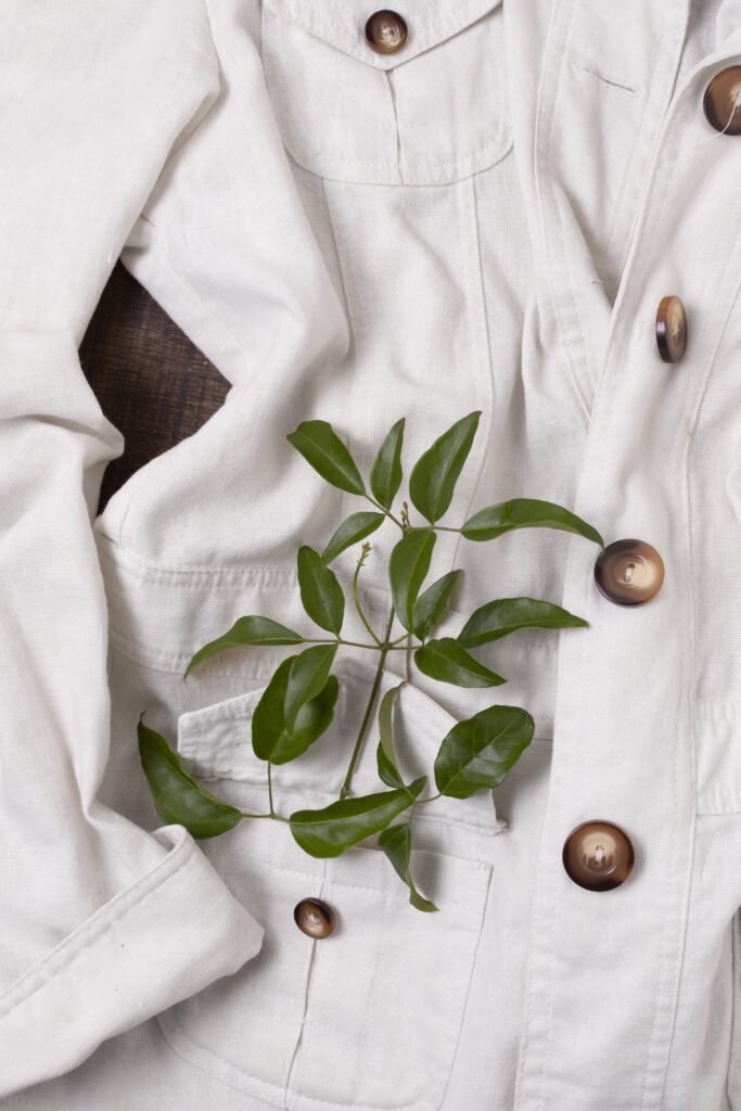 Roupas sustentáveis com algodão orgânico e uma planta decorando.
